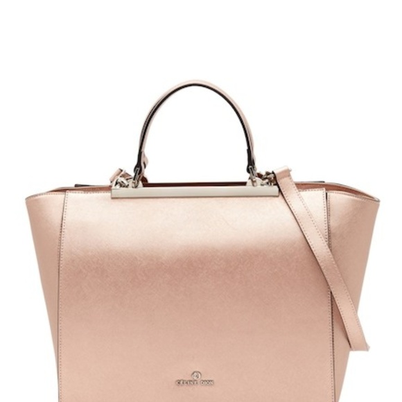 dion handbags